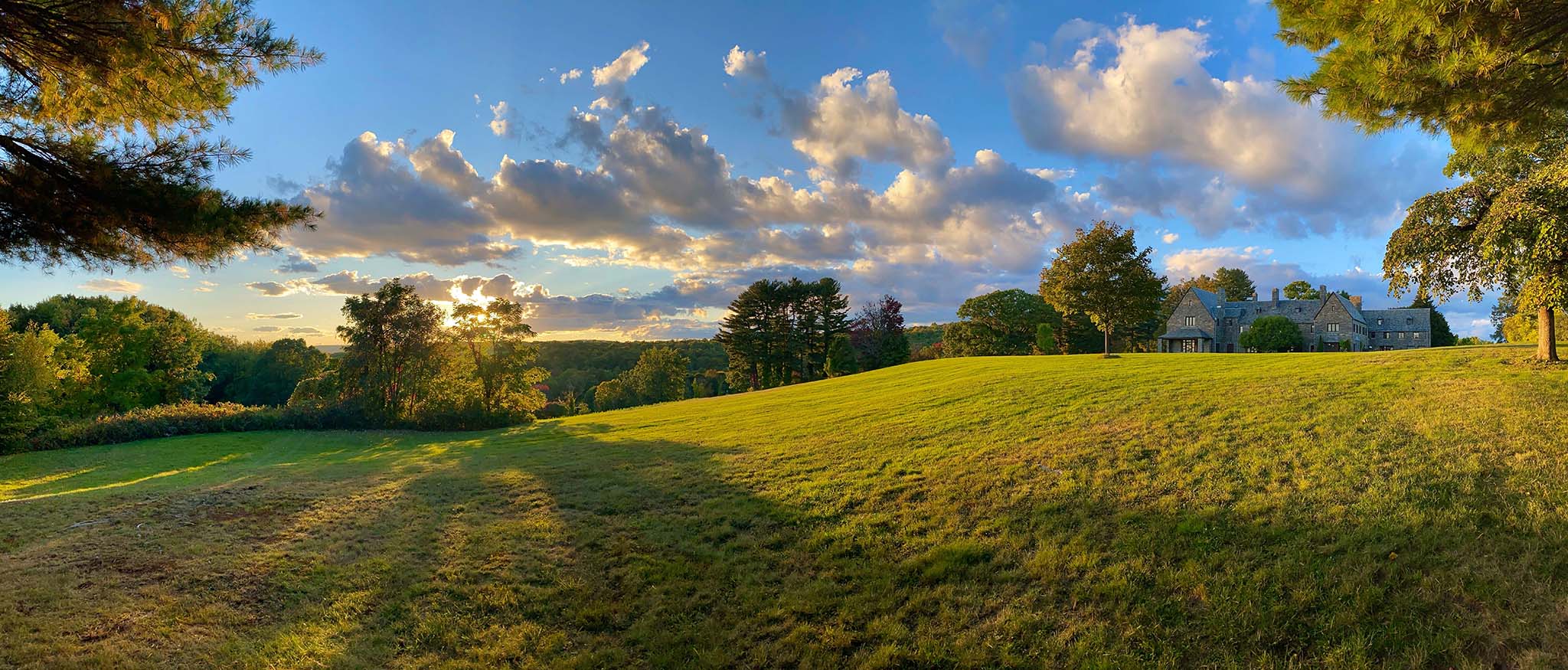 the great barrington declaration